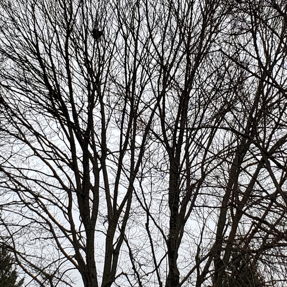 Meet your Posher, Julie - Picture 1 of 1